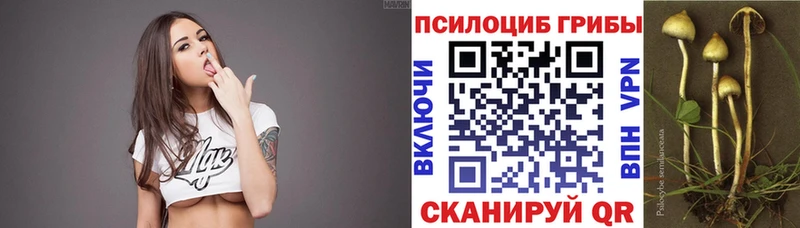 Галлюциногенные грибы Psilocybe  Жуковка 